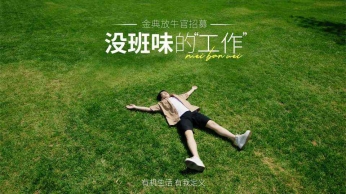 金典招聘长征注册