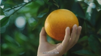 农业企业长征注册