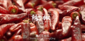 重庆 城市形象片